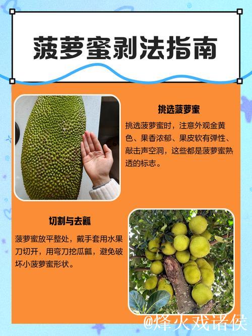 教你如何切菠萝蜜！超详细实用技巧视频